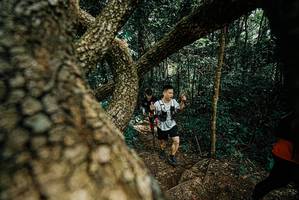 BIB: 
                            <button type="button" onclick="openModal(25704495)" class="btn btn-primary btn-sm float-right btn-popup" data-toggle="modal" data-target=".modal-high-quality">
                        <i class="fas fa-shopping-cart"></i> Add to Cart
                    </button>
                                            <button type="button" onclick="isThisMe(25704495, true)" class="btn btn-success btn-sm float-right btn-popup btn-isme hidden" data-toggle="tooltip" data-placement="bottom" title="นี่คือรูปของคุณใช่ไหม คลิกที่นี่เพื่อเอาเข้าอัลบั้ม">
                        <i class="fas fa-plus"></i> Add to album
                    </button>
                    <button type="button" onclick="isThisMe(25704495, false)" class="btn btn-warning btn-sm float-right btn-popup btn-isnotme hidden">
                        <i class="fas fa-ban"></i> Remove from album
                    </button>